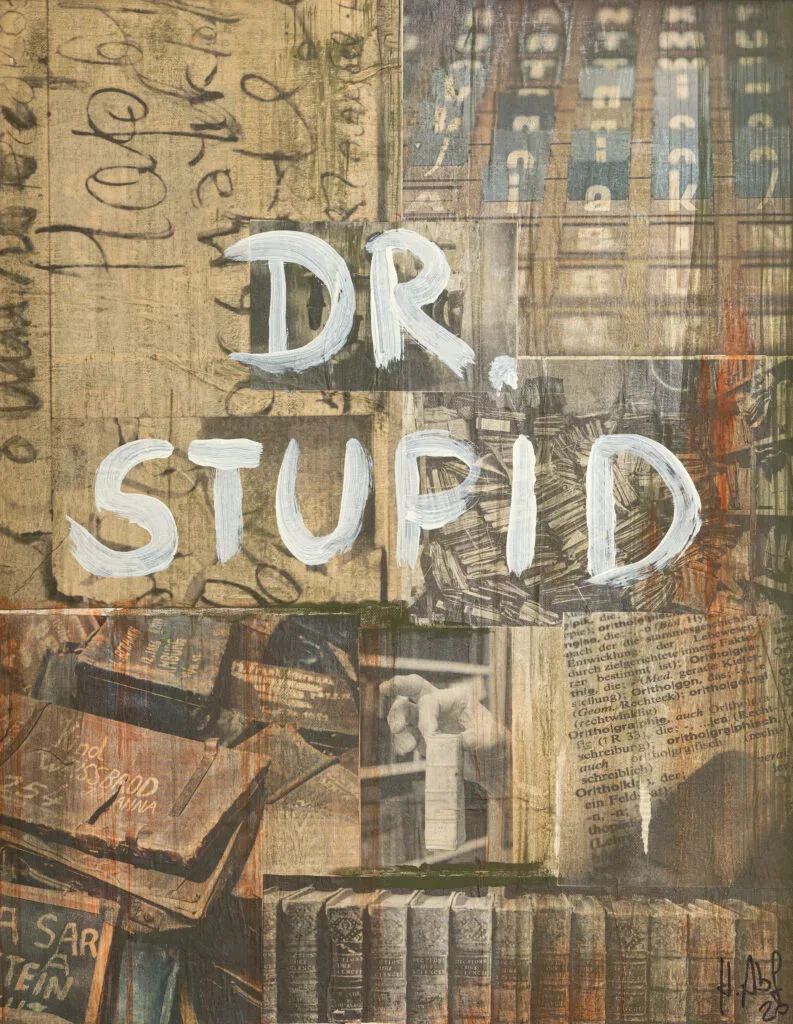 Collage aus Büchern und Texten, übermalt mit "Dr. Stupid" in weißen Lettern.
